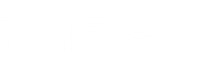 Raizen logo